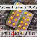 Sildenafil Kamagra 100Mg new10